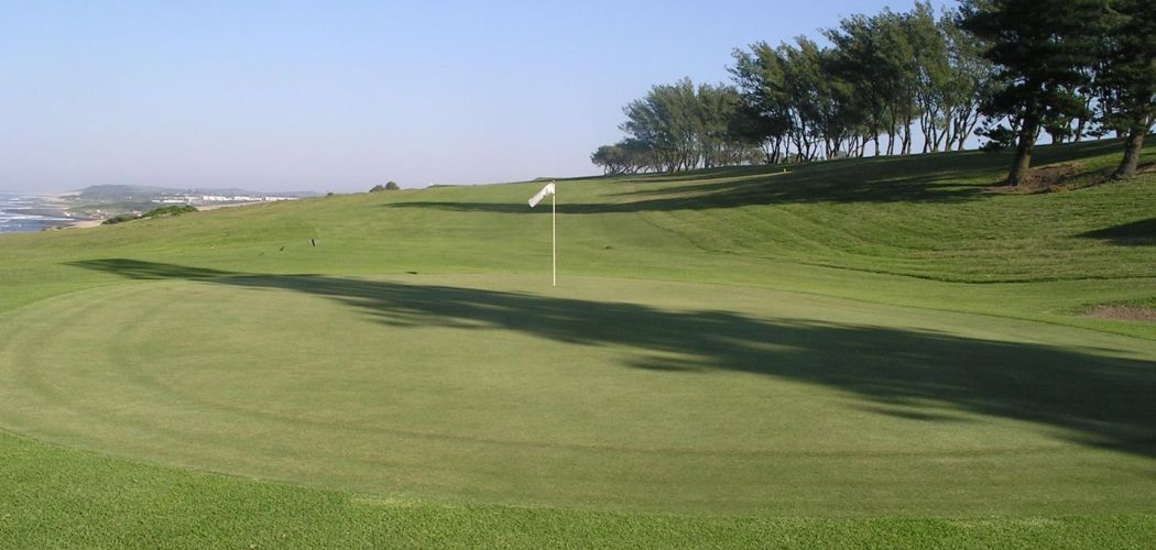course_image