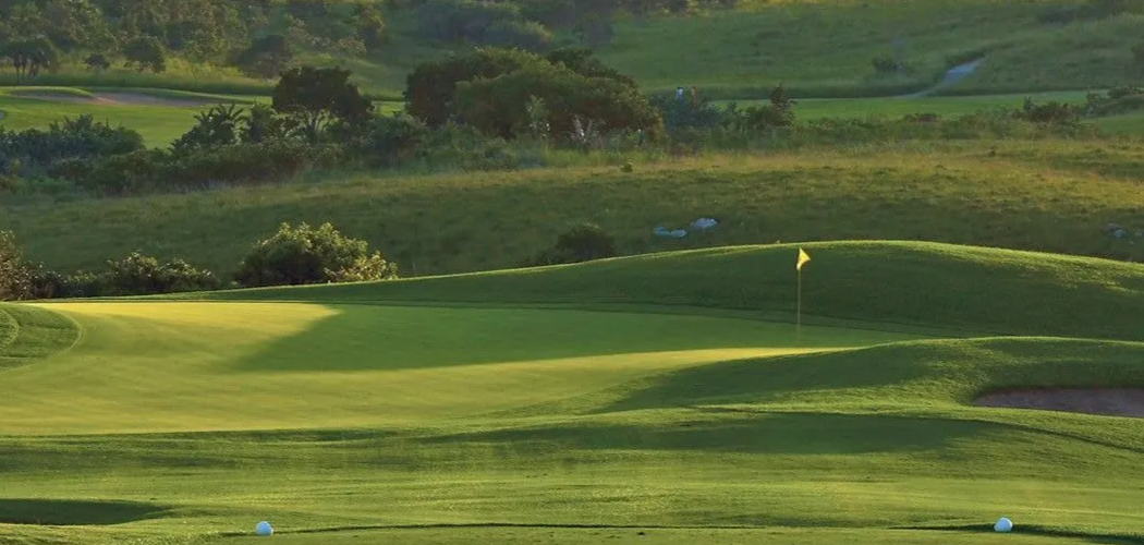 course_image