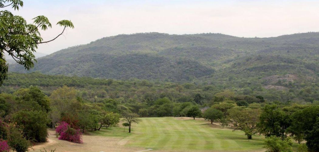 course_image