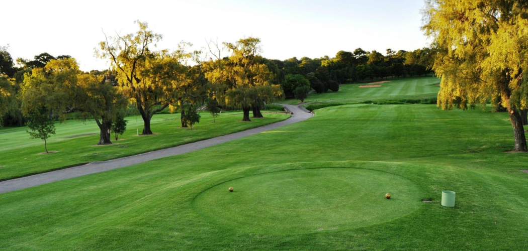 Randpark - Firethorn